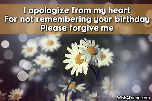 I Apologize From Heart-wb0934