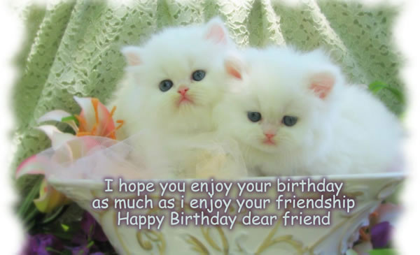 I Enjoy Your Friendship Happy Birthday Dear-wb725