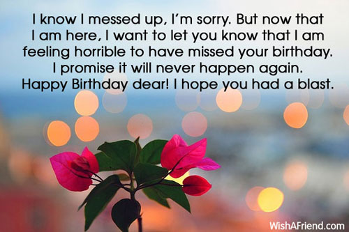 I Messed Up Happy Birthday Dear-wb0951