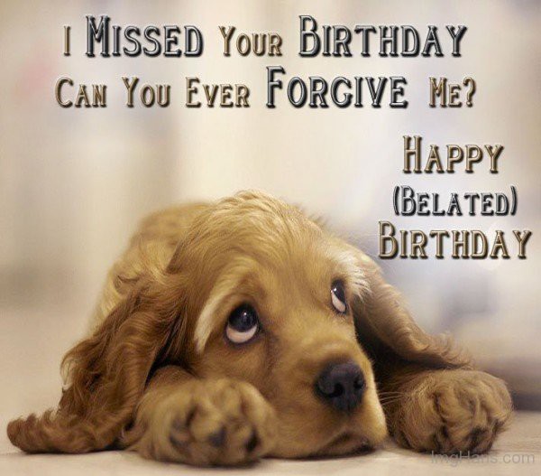 I Missed Your Birthday !-wb02909