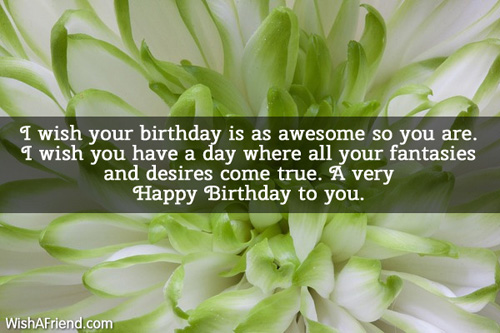 I Wish your Birthday Is Awesome-wb3616