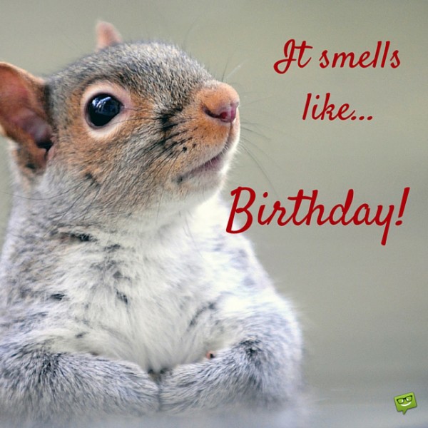 It Smells Like Birthday!-wb29