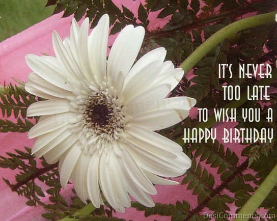 It's Never Too Late To Wish You A Happy Birthday-wb5723