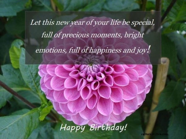 Let This New Year Of Your Life Be Special-wb06412