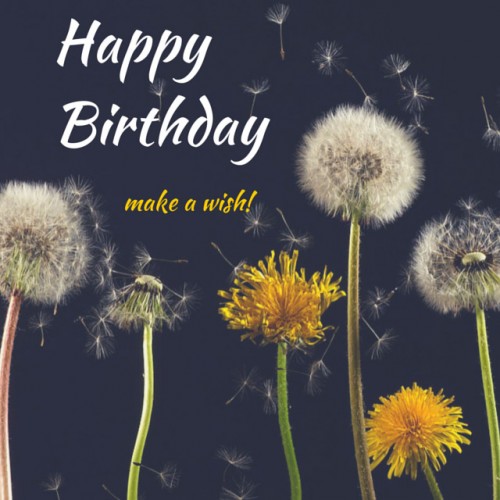 Make A Wish Happy Birthday-wb5416