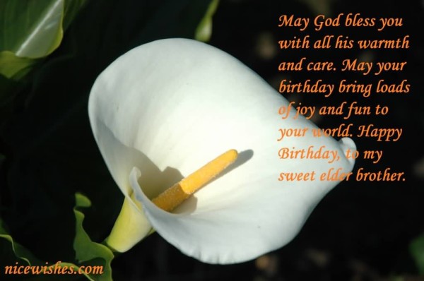 May God Bless You With All His Warmth-wb6041