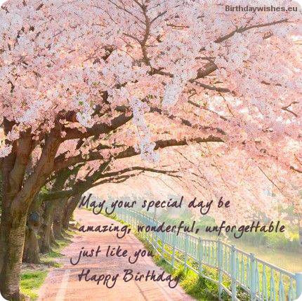May Your Special Day Be Amazing-wb009061