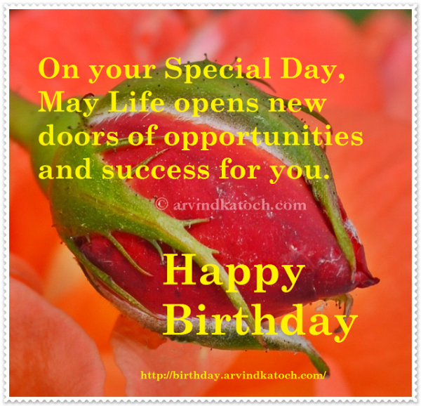 On Your Special Day Happy Birthday-wb02525