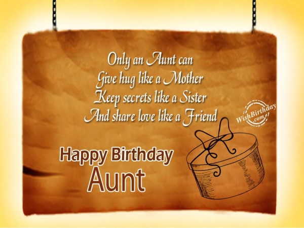 Only An Aunt Can Give Hug-wb8910