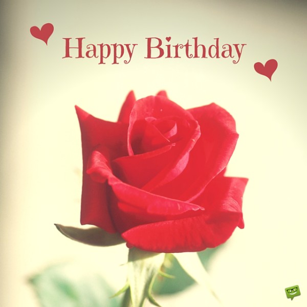 Rose For U Happy Birthday-wb4129