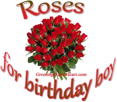 Roses For Birthday Boy-wb404