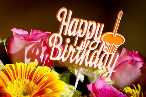 Sending Lovely Flowers On Your Birthday-wb4130