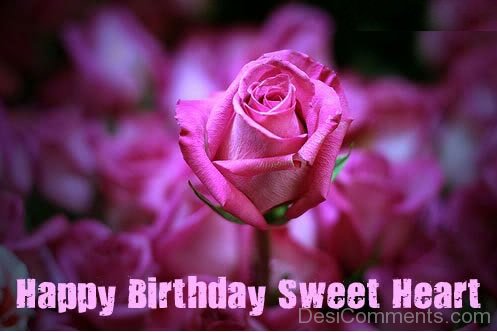 Sending U Pink Flower On Birthday-wb2113