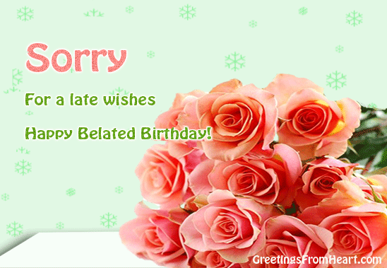 Sorry For A Late Wishes-wb6734
