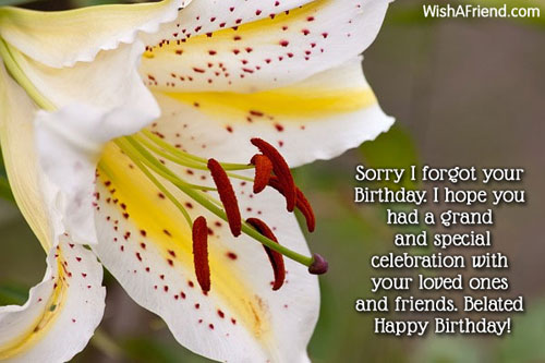 Sorry I Forget Your Birthday-wb0983