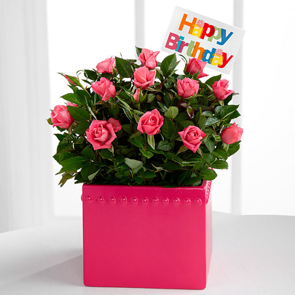 Sweet Flowers On Birthday-wb4135