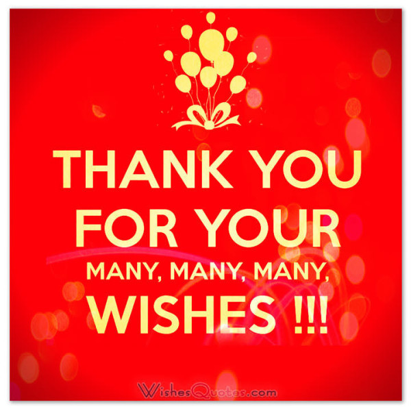 Thank You For Your Many Many Wishes-wb024089
