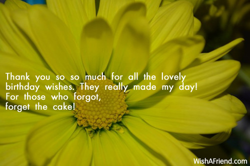 Thank You So Much For All The Lovely Birthday-wb024094