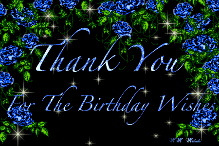 Thank You The Birthday Wishes
