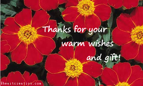 Thanks For Your Warm Wishes-wb024121