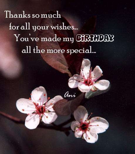 Thanks So Much For All Your Wishes-wb024126