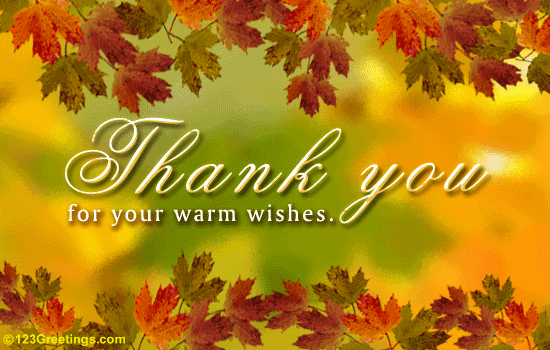 Thanks You For Your Warm Wishes-wb02933