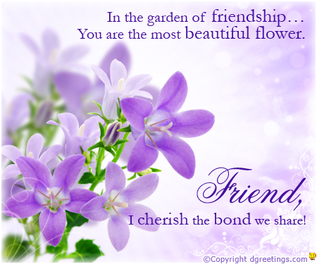 The Most Beautiful Flower For Friend-wb6