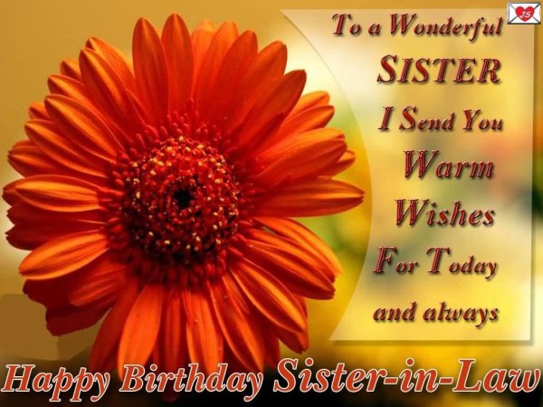 To A Wonderful Sister I Send You Warm  Wishes-wb4928