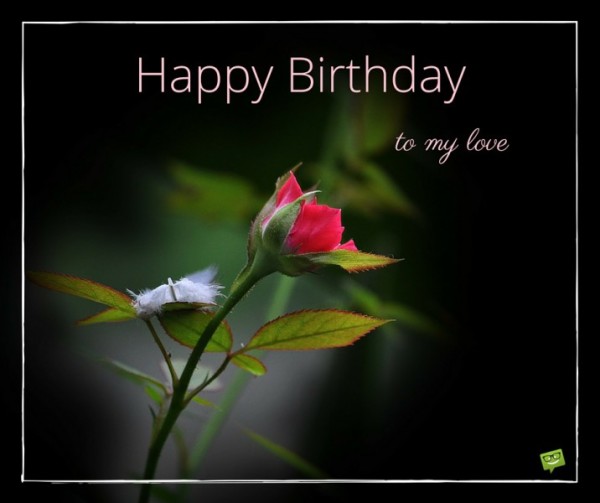 To My Love Happy Birthday-wb4610
