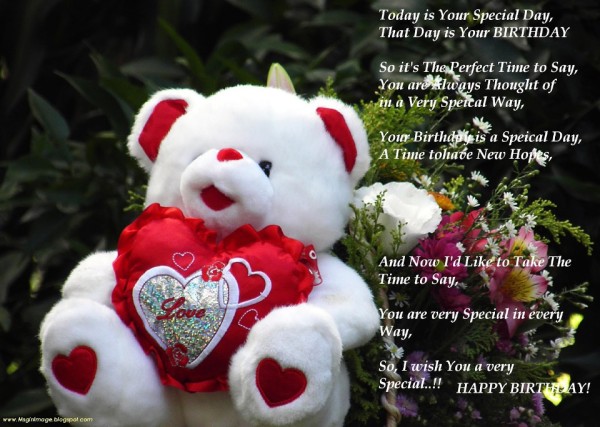 Today Is Your Special Day !-wb06417