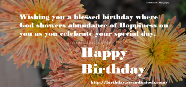 Wishing You A Blessed Birthday-wb02531