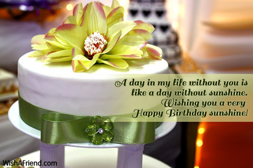 Wishing You A Very Happy Birthday Sunshine-wb5325