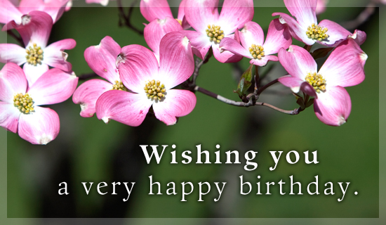 Wishing You A Very Happy Birthday-wb2413