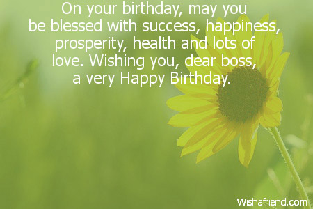 Wishing You Dear Boss Happy Birthday-wb6111
