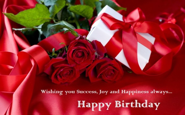 Wishing You Success Happy Birthday-wb2611
