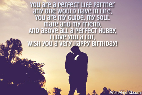 You Are A Perfect Life Partner Happy Birthday-wg6060