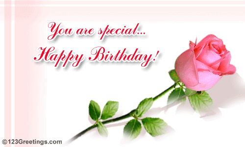 You Are Special Happy Birthday-wb02724