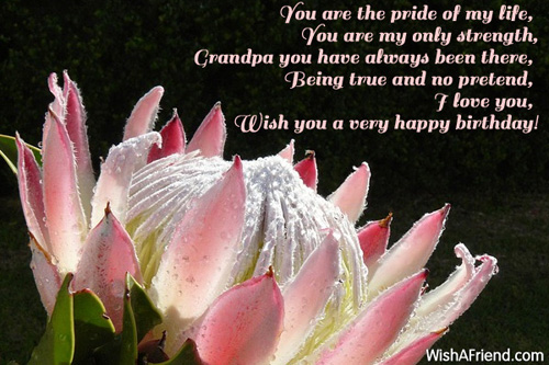 You Are The Pride Of My Life-wg3521