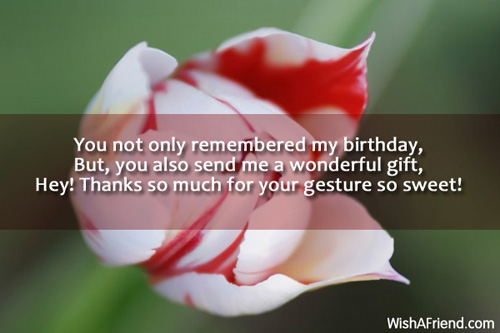 You Not Only Remembered My Birthday-wb024151