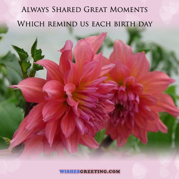 Always Shared Great Moment-wb0140075