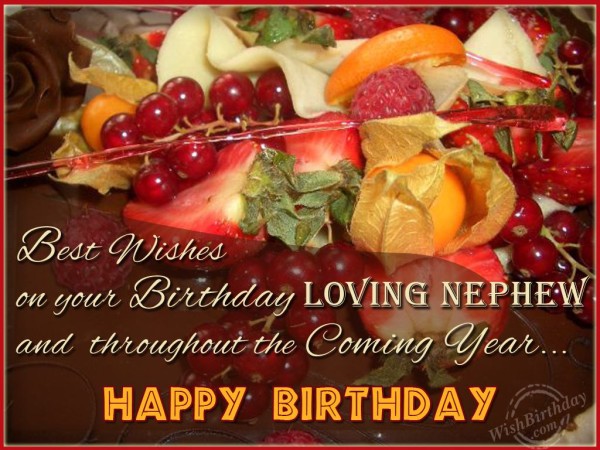 Best Wishes  On your Birthday Loving Nephew-wb0140226