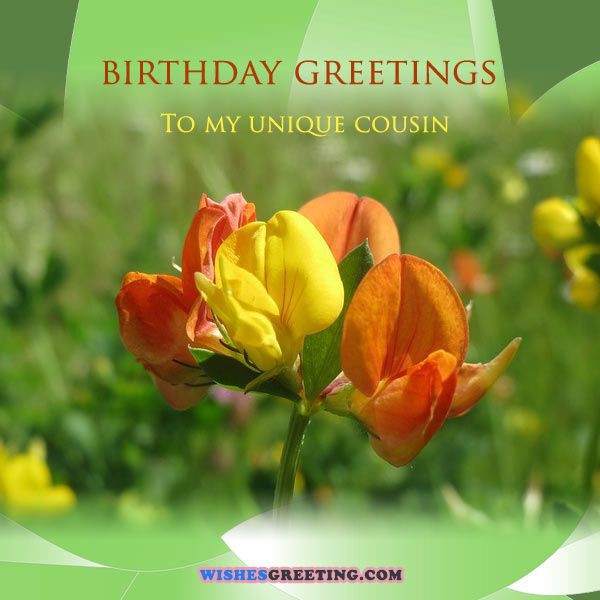 Birthday Greeting To My Unique Cousin-wb0140251