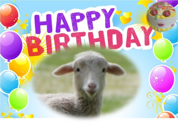 Funny Happy Birthday Image-wb0140427