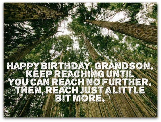 Happy Birthday Grandson-wb0140724