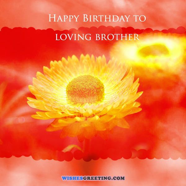 Happy Birthday To My Brother!-wb0140835