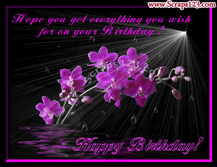 Hope You  Get Everything You Wish For On Your Birthday-wb0141081