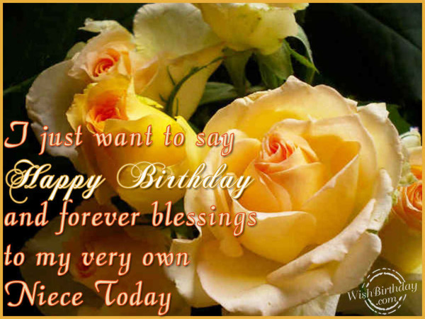 I Just Wany To Say -Happy Birthday Niece -wb0141557