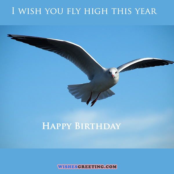 I Wish You Fly High This  Year-wb0141214