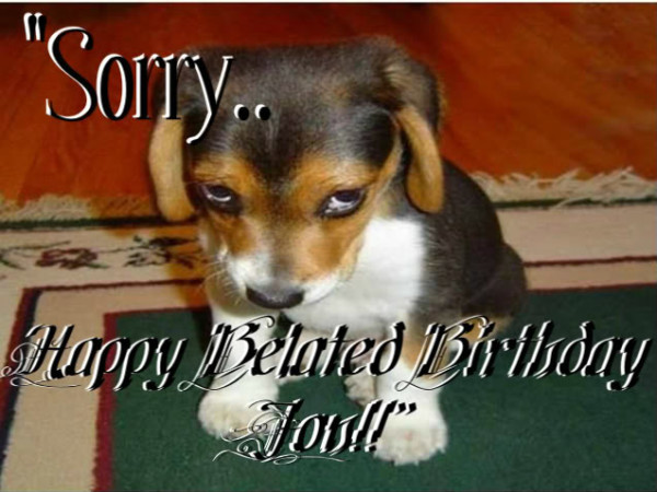 Sorry Happy Belated Birthday-wb0141688