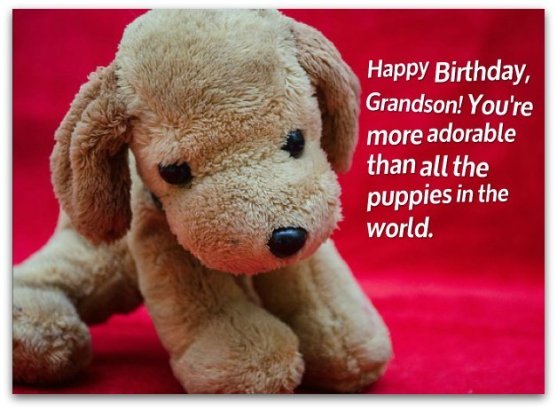 You Are More Than All The Puppies In The World-wb0142031